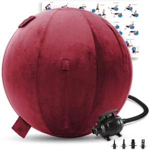 Exercise Ball Cover Set